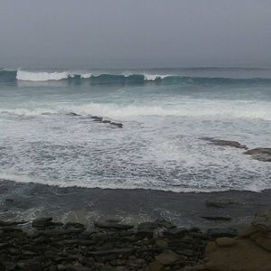 Meet your Posher, Samuel